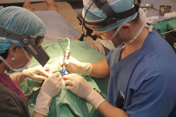 1498104179 715817195 N 1